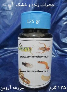 Arvin Mealworm سایت فروش میل ورم ( www.arvinmealworm.ir) : پرورش و فروش میلورم | فروش میل ورم زنده 125 گرمی | فروش میل ورم زنده 125 گرمی
