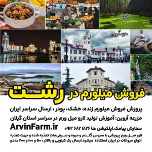 فروش میلورم در رشت طعمه ماهیگیری