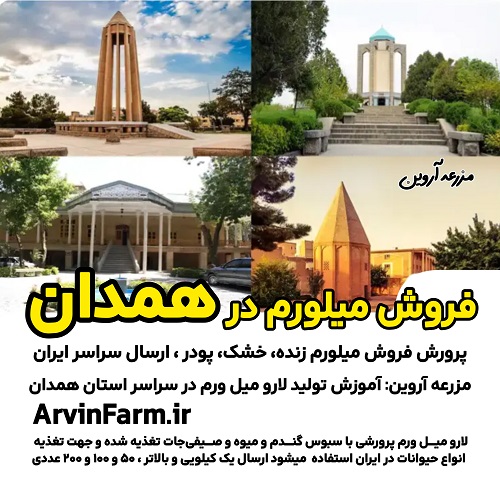 فروش میلورم در همدان