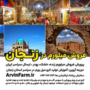 فروش میلورم در زنجان